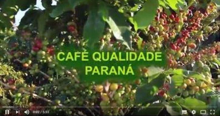 CONFIRA O VÍDEO INSTITUCIONAL DO CONCURSO CAFÉ QUALIDADE PARANÁ