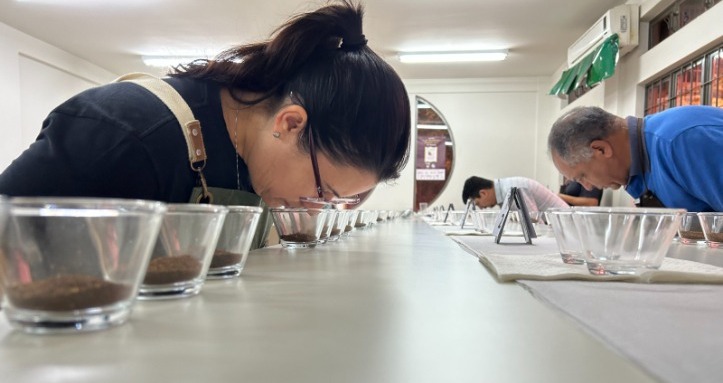 Julgamento em Londrina define vencedores do Café Qualidade Paraná 2025